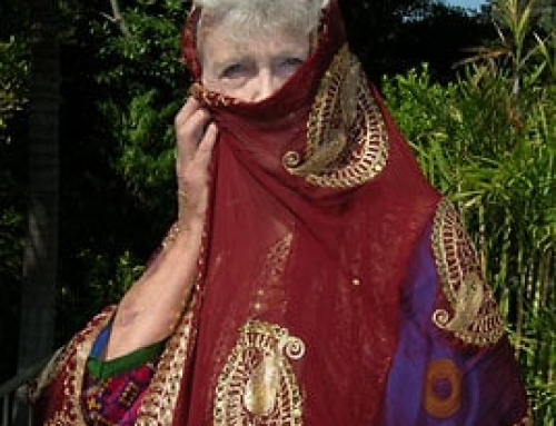 Carol McManus Costume Donation August 2010